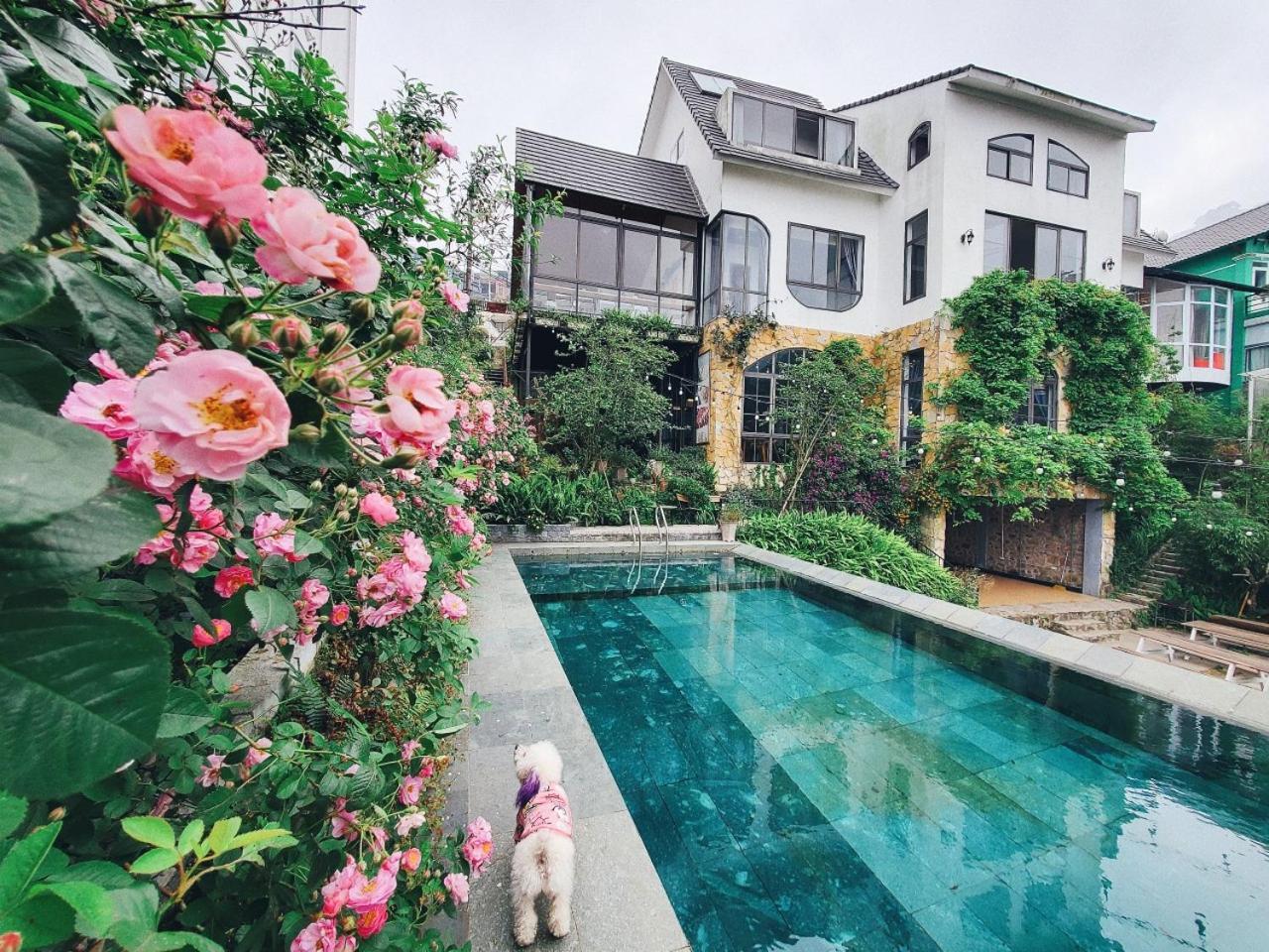 Le vent Tam Đảo homestay Extérieur photo