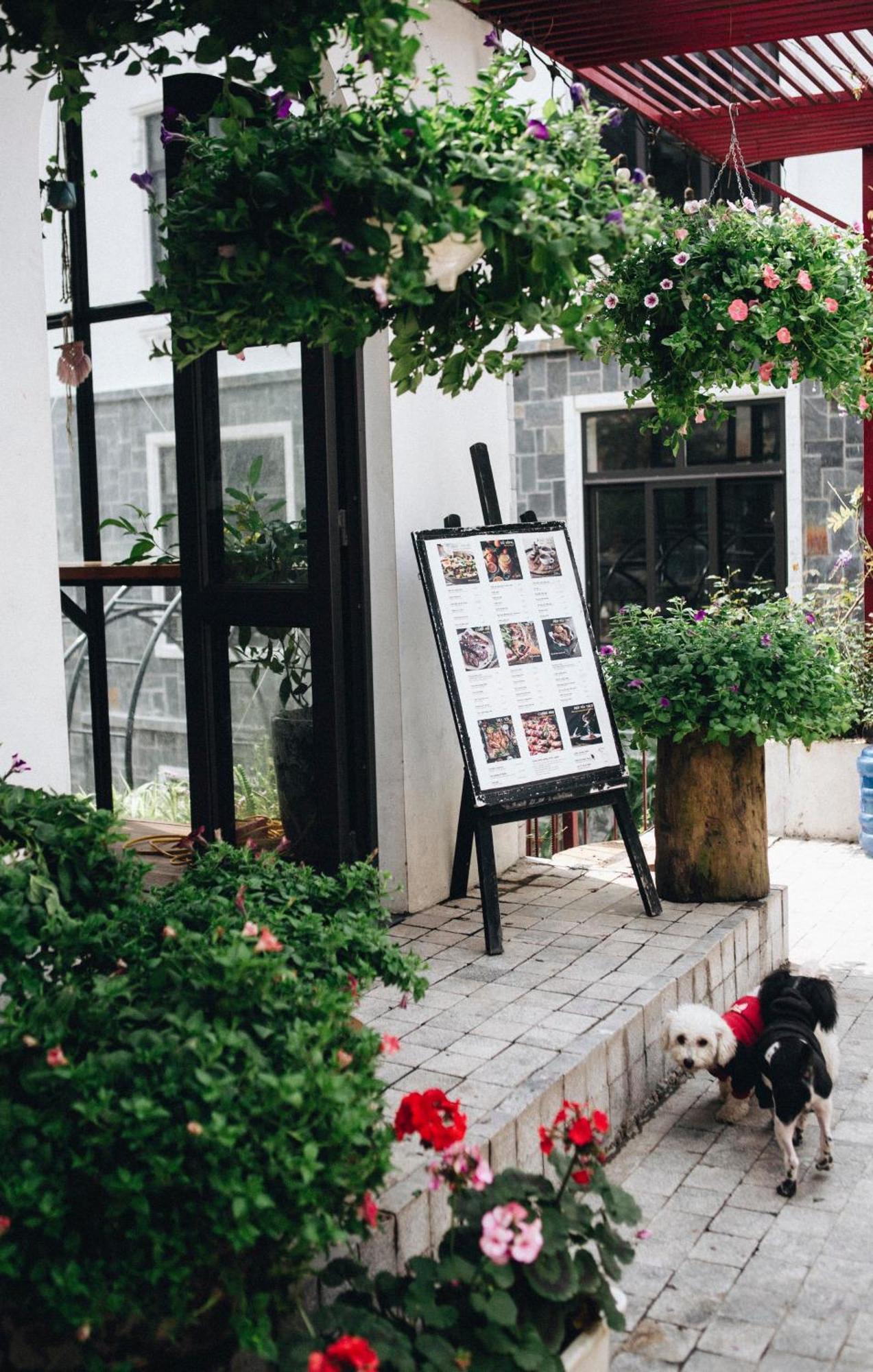 Le vent Tam Đảo homestay Extérieur photo